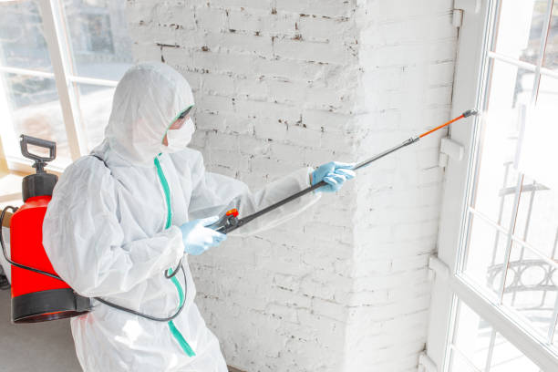 Forensic Mold Investigation in Gasport, NY